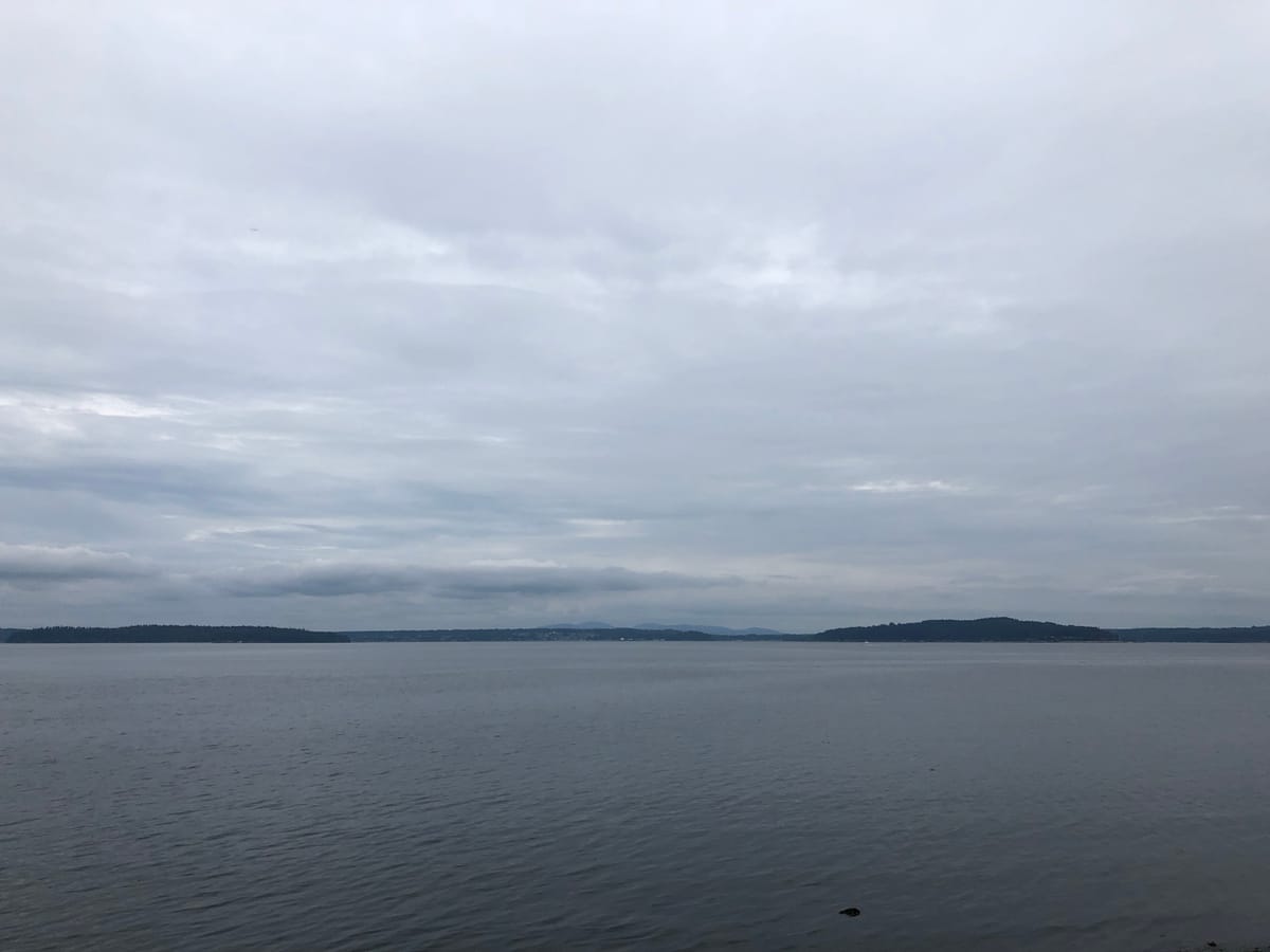 A Calm In the Chaos