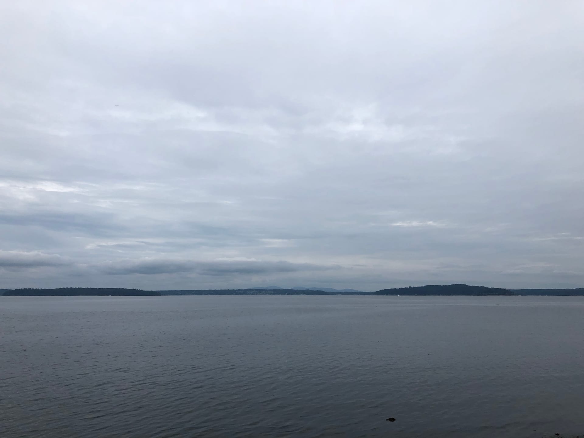 A Calm In the Chaos