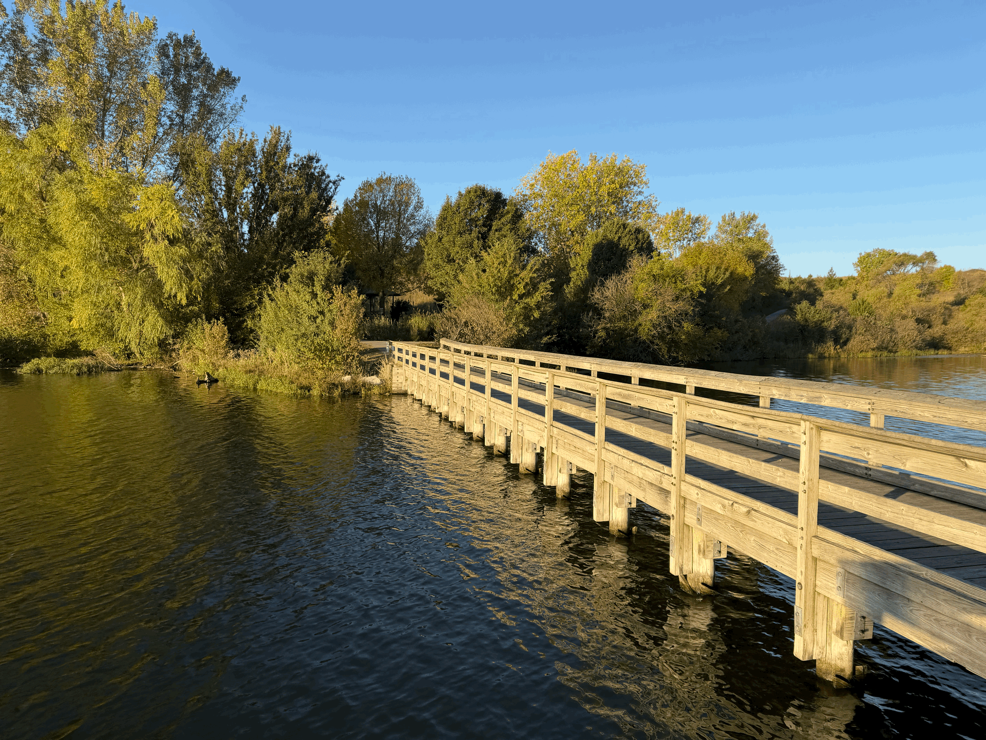 The Thursday Dispatch - 23 October 2025