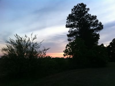 Part of Me Wishes I Would Have Kept It