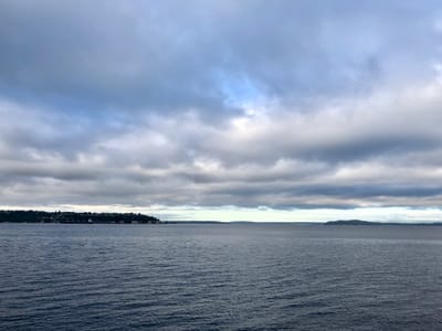 A Small Web July, Because Holy Shit!