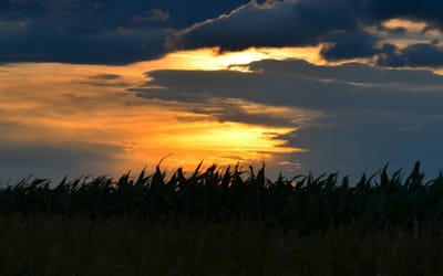 The Thursday, er... Saturday Dispatch - 30 August 2025