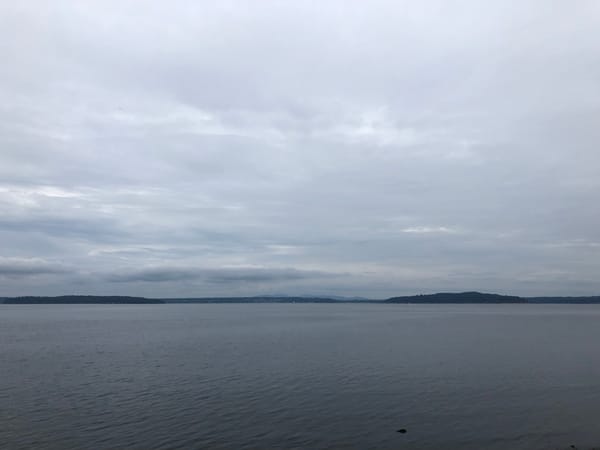 A Calm In the Chaos