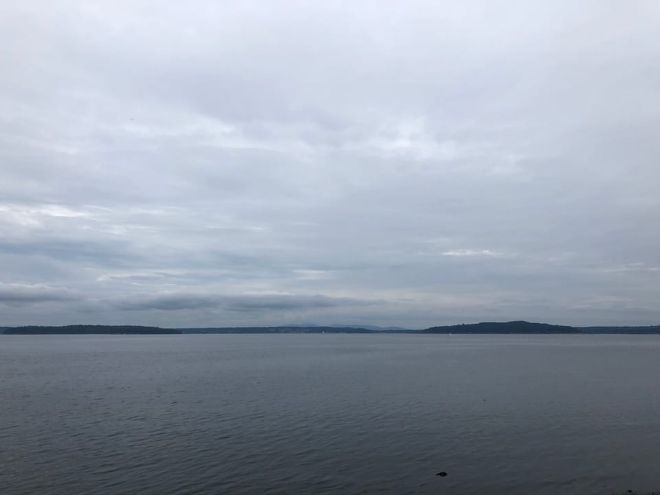 A Calm In the Chaos